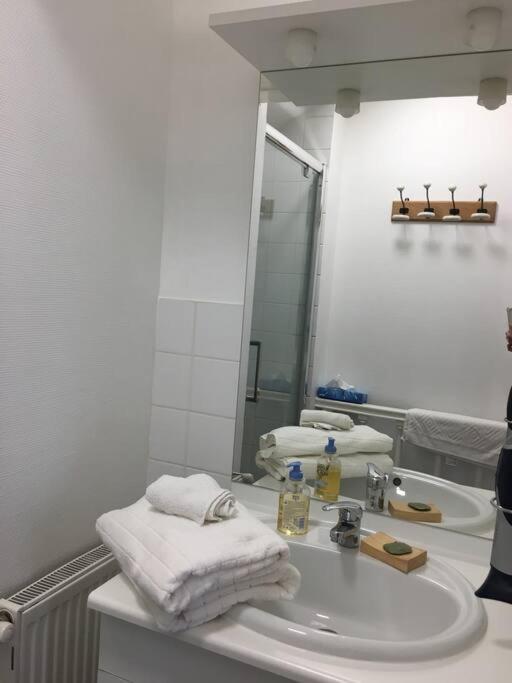 פואטייה Bel Appartement Climatise Plein Centre Ville מראה חיצוני תמונה